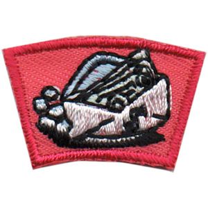 Money / Envelope Segment Patch