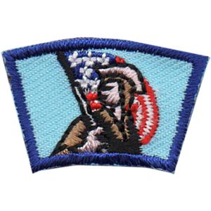 Patriot Segment Patch