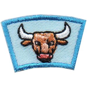 Bull Segment Patch