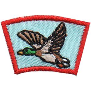Waterfowl Segment Patch