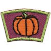 Pumpkin Segment Patch