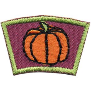Pumpkin Segment Patch