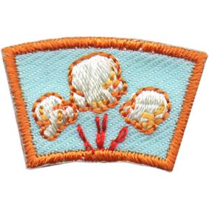 Popcorn Segment Patch