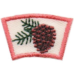 Pinecone Segment Patch
