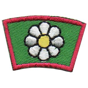 Daisy Segment Patch