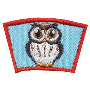 Owl Segment Patch
