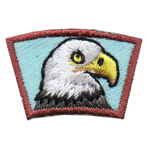Eagle Segment Patch