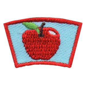 Apple Segment Patch