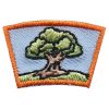 Oak Tree Segment Patch