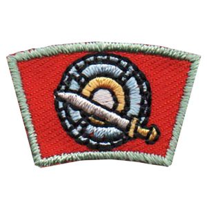 Blade and Shield Segment Patch