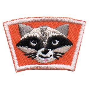Raccoon Segment Patch