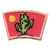 Cactus Segment Patch
