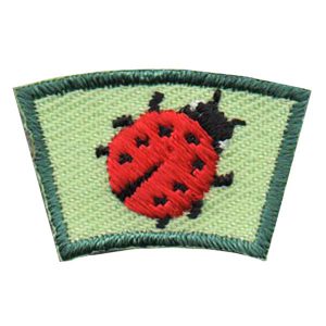 Ladybug Segment Patch