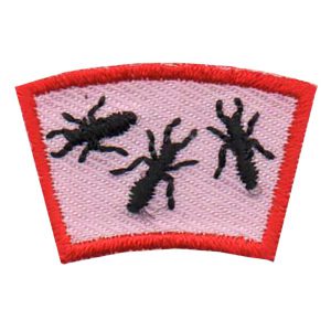 Ants Segment Patch