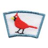 Cardinal Segment Patch