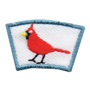 Cardinal Segment Patch