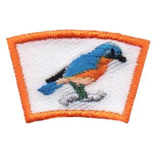 Bluebird Segment Patch