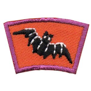 Bat Segment Patch