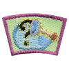 Mystery Segment Patch