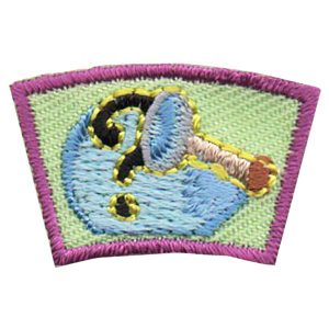 Mystery Segment Patch