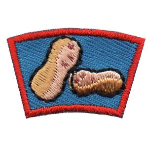 Peanuts Segment Patch