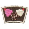 Ice Cream Segment Patch