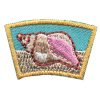 Sea Shell Segment Patch