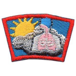 Clean Air Segment Patch