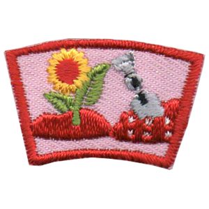 Clean Earth Segment Patch