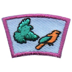 Birds Segment Patch