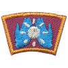 Enrichment Segment Patch