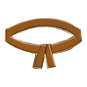 Brown Belt Pin