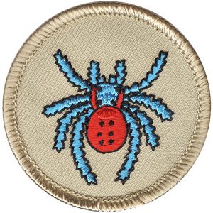Spider Patrol Patch