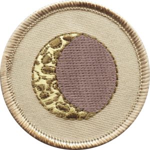 Moon Patrol Patch