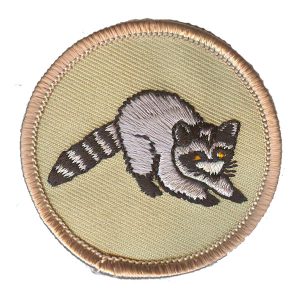 Raccoon Patrol Patch