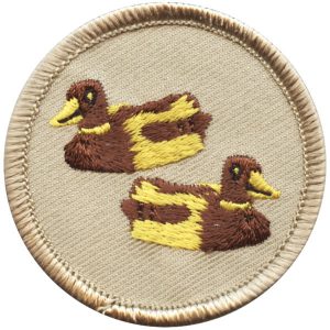 Ducks Patrol Patch