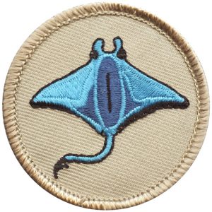 Sting Ray Patrol Patch