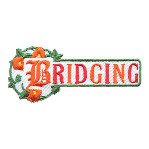 Bridging Patch