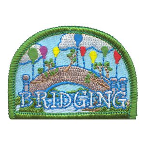 Bridging Patch