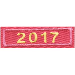 2017 Pink Year Bar Patch