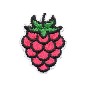 Raspberry Segment Patch