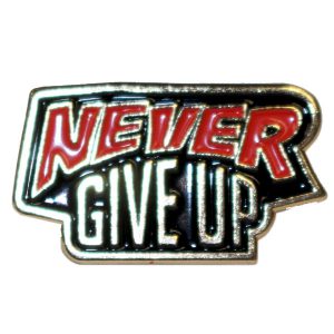 Never Give Up Pin