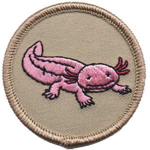 Axolotl