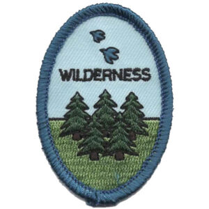 The Trail to Creativity Patch (Copy) is an oval with a blue border, three green pine trees, two birds above them, and “WILDERNESS” in black lettering on a light blue sky background.